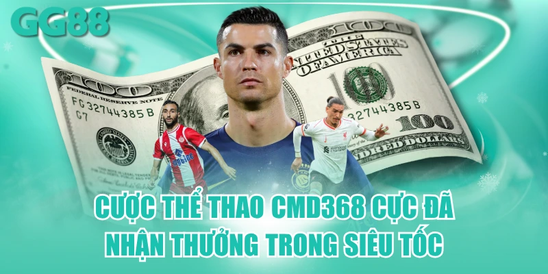 cmd368